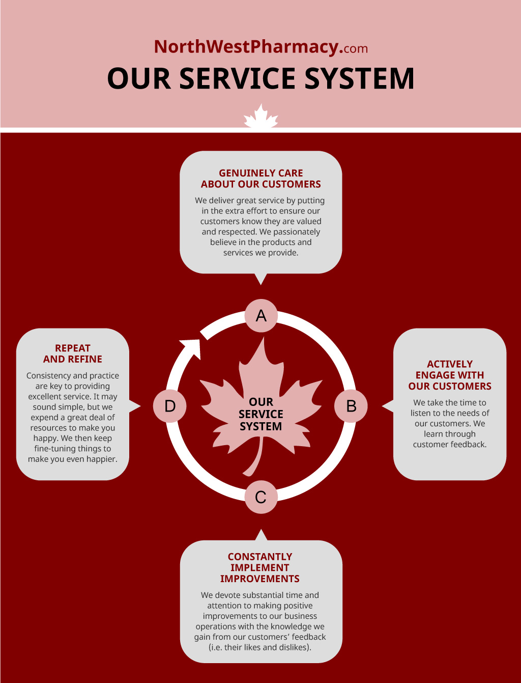 Our service system infographic